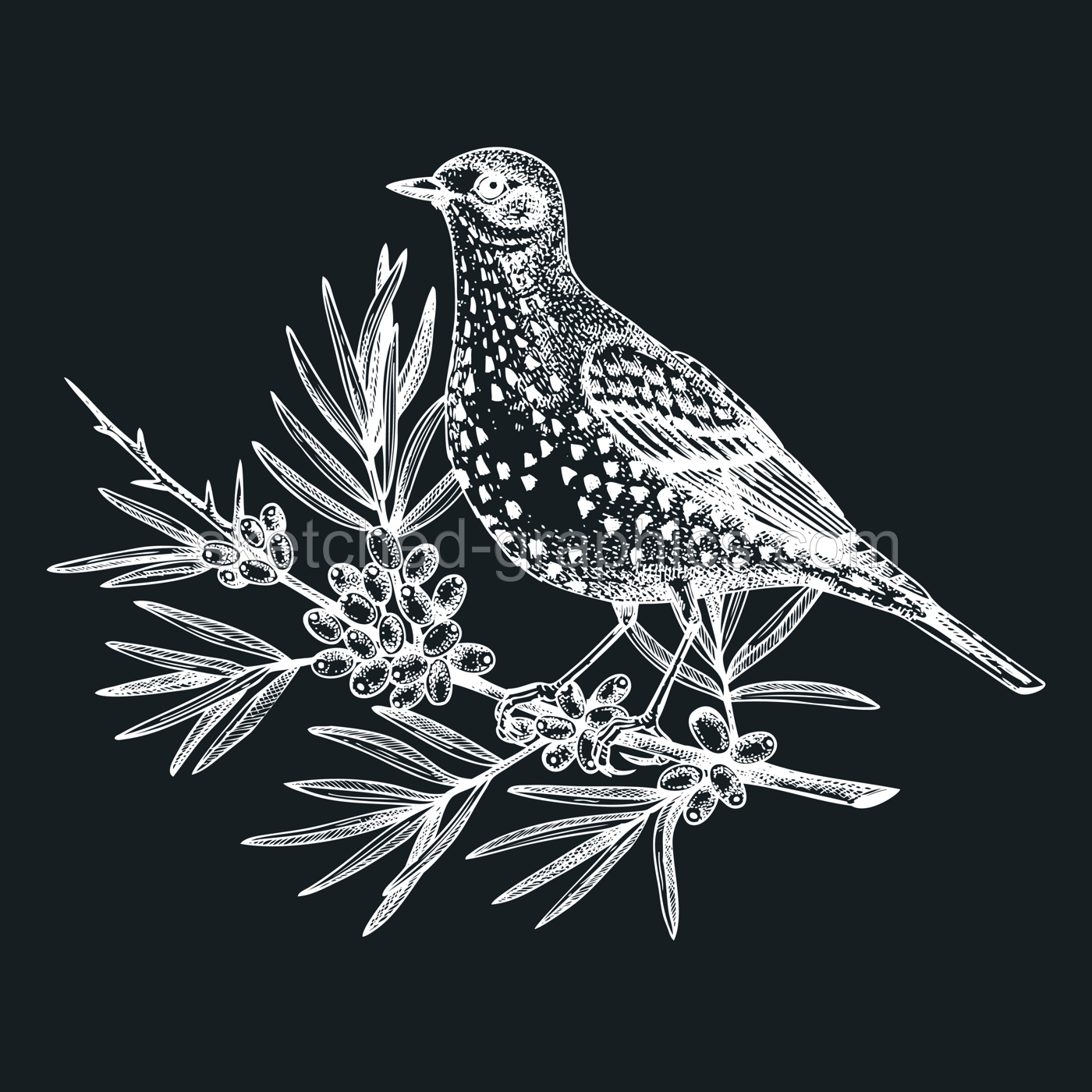 Hand-sketched bird with autumn flowers illustration on chalkboard. Fall design with birds, florals, geometric shapes, and abstract elements. Can be used for print, poster, wall art, social media Illustration